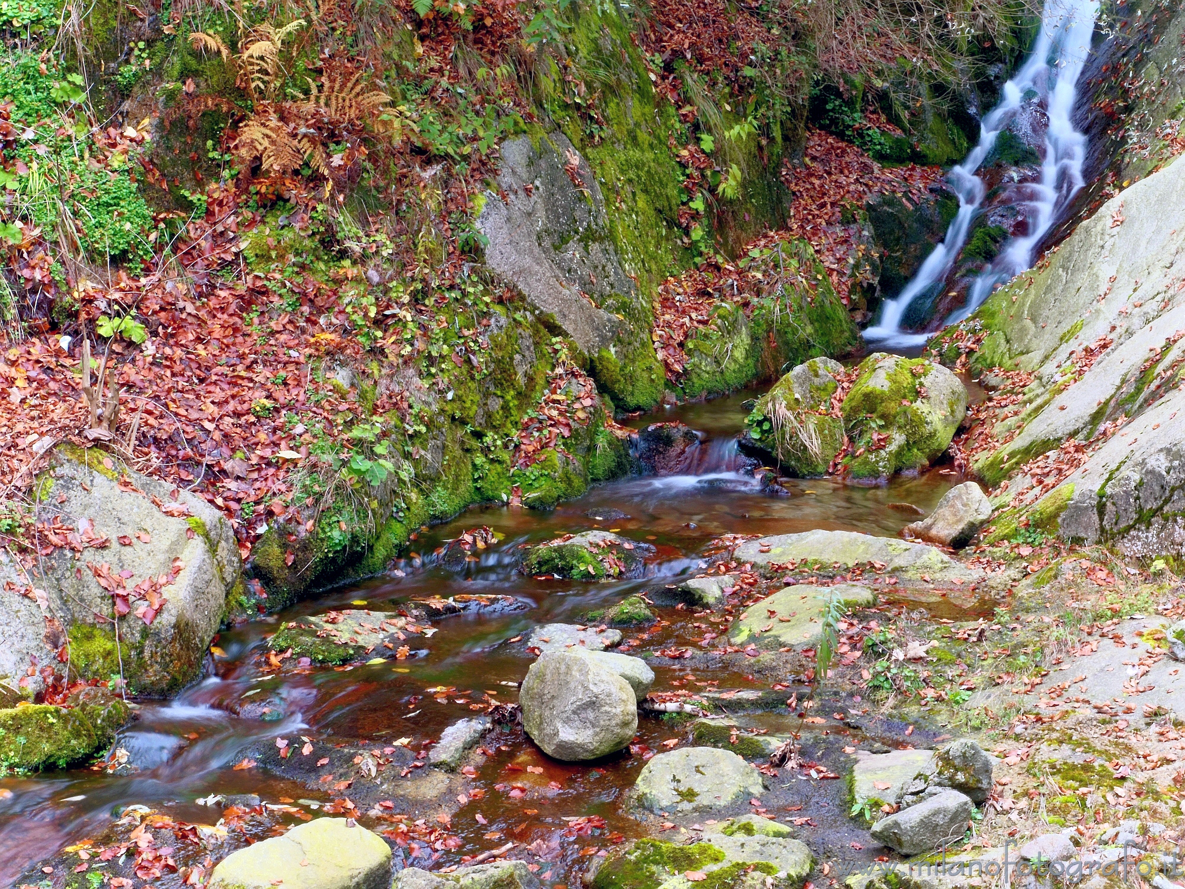 Campiglia / San Paolo Cervo (Biella) - Ruscello autunnale